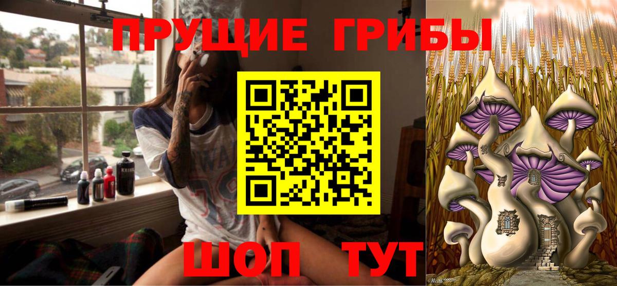 Галлюциногенные грибы GOLDEN TEACHER  Вход с VPN  Галлюциногенные грибы мицелий  Баксан 
